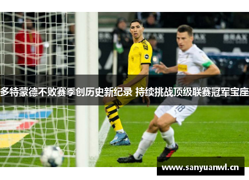 多特蒙德不败赛季创历史新纪录 持续挑战顶级联赛冠军宝座