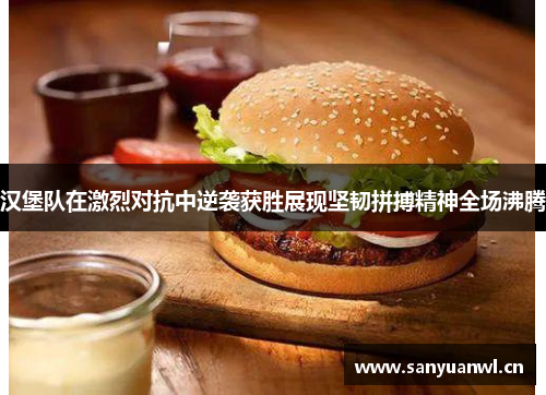 汉堡队在激烈对抗中逆袭获胜展现坚韧拼搏精神全场沸腾