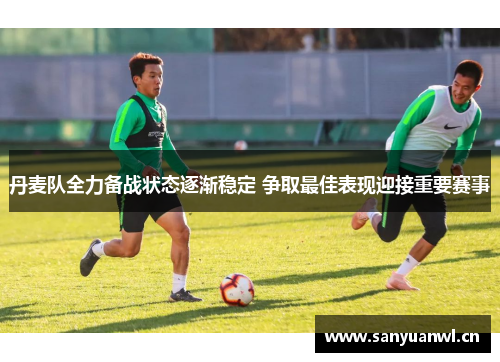 丹麦队全力备战状态逐渐稳定 争取最佳表现迎接重要赛事